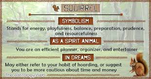 Squirrel Symbolism Spirit Animal Dream Spirit Animal Meaning Spirit Animal Totem Animal Symbolism