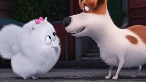 They need to speak with me first so that i can see if i have a pet that might be a match. The Secret Life Of Pets Is Messy Mean And A Lot Of Fun Vox