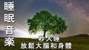 100 無廣告 放鬆音樂 深度睡眠 放鬆音樂 治療音樂 舒壓按摩音樂 睡眠音樂 療癒音樂 鋼琴音樂 波音 鋼琴曲 輕音樂 輕快 bgm 純音樂 钢琴曲 轻音乐 放松音乐