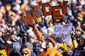 Cincinnati Bengals 2025 fan survey: How do you feel about the 