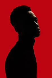 African American Man Silhouette Isolated Over Red Background Black Red By Leandro Cres Portrait Photography Men Studio Portrait Photography Man Photography