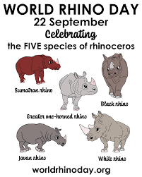 Conviértete en un maestro de las superficies. Zoo Dortmund Celebrates World Rhino Day On September 27 World Rhino Day