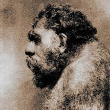 H a b i t a t. Download Latfa Mp4 Mp3 3gp Naijagreenmovies Fzmovies Netnaija