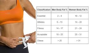 How To Calculate Your Body Fat Percentage Easily Most