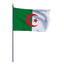 Bracelet aux couleurs du drapeau algérien très stylé que toute algérienne et tout algérien devrait porter et brader fièrement leur. Drapeau Algerie Drapeau Algerien Sur Hampe En Bois Doublet