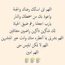 Thepug Islamic Quotes God Loves Me Allah Love