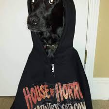 He loves his stuffed husky we got from a friend