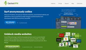 Hide your ip address, anonymize all your traffic with. Cactusvpn Review