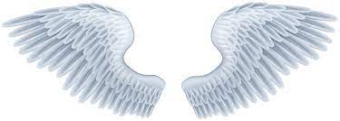 Angel Wings Png Clip Art Image Gallery Yopriceville High Quality Images And Transparent Png Free Clipart