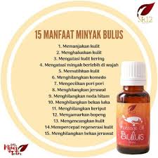 We did not find results for: Llluuaaaarrr Biasa Si Bulus Mulus Dari Sr12 Shopee Indonesia