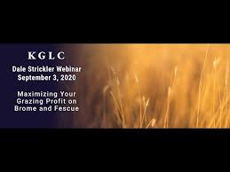 We did not find results for: Dale Strickler Webinar Maximizing Profit On Brome And Fescue By Kansas Grazing Lands Coalition Youtube