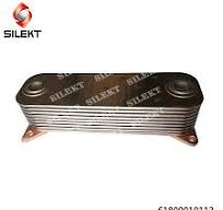 Sinotruk HOWO Oil Cooler Core Wd618 61800010113 Euro III Radiator Core for  Weichai Engine
