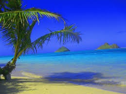 Still, if you want to use this method, use it at your own risk. How To Use Hawaiiancreditcard Activate Payment