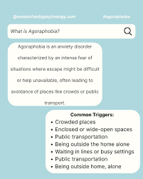 Image result for Agoraphobic Avoidance