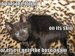 Lotion.on its skin.else.hose i really hope you get the joke/reference ;=; Animal Comedy It Puts The Lotion On Its Skin Animal Comedy Animal Comedy Funny Animals Animal Gifs Cheezburger