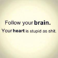 Pin By Vanessa Garcia On Good For A Laugh Funny Quotes Words Inspirational Quotes