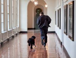 Dad, husband, former president, citizen. Barack Obama Barackobama Twitter