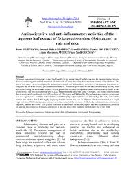 Image result for Erlangea