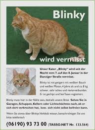 Suchplakat erstellen katze / wenn ihnen ein tier zuläuft, müssen sie einiges beachten. Luxus Vermisstenanzeige Katze Vorlage Solche Konnen Anpassen Fur Ihre Wichtigsten Inspiration Dillyhearts Com