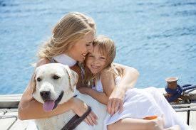 Ronald weiner ensuring the values that were the hallmark of story road animal hospital would remain as dr. San Jose Veterinarians Animal Medical Center San Jose