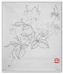 工笔花卉白描练习 牵牛花 浴火凤凰 搜狐博客 flower line drawings vine drawing silk art