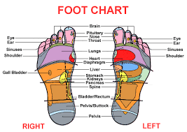 Fertility Reflexology Foot Chart Foot Reflexology Foot