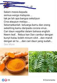 Mak aku bagi mandi dengan daun ini lah. Daun Semambu Neem Ikhtiar Untuk Sembuh Pesakit Covid 19