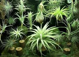 Led lights consume less energy, provide larger coverage, and produce a broader spectrum of light. Terrarium Led Grow Light Kits Flexfire Leds Inc