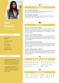 Exemple De Cv Clair Et Lumineux Gratuit A Telecharger Exemple Cv Exemple De Cv Professionnel Modele Cv Word
