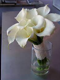 Betsy S Bouquet Is Monobotanic All One Flower French Callas Not True Lilies The English Call Them A Rustic Country Wedding Wedding Reception Calla Lily
