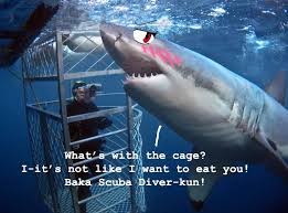 Anime Sharks These Are Weirdly Cute I Love It Xd Tsundere Shark Adrenaline Junkie