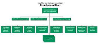 Organizational Setup Securities And Exchange Commission