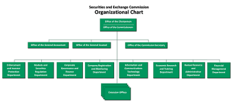 organizational setup securities and exchange commission