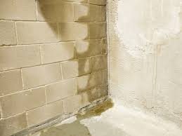 We did not find results for: 6 Tips For Basement Waterproofing Millionacres