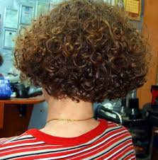 Permed Bob Back Curly Hair Styles Short Curly Hairstyles For Women Curly Bob Hairstyles