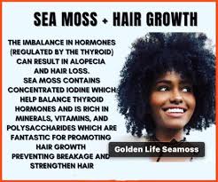 Maybe you would like to learn more about one of these? Golden Life Seamoss Sea Moss Gel For Hair Skin And Nails Facebook