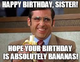 Happy birthday to my beautiful sister who knows how to push all of my buttons but whom i love dearly. 30 Hilarious Birthday Memes For Your Sister Sayingimages Com