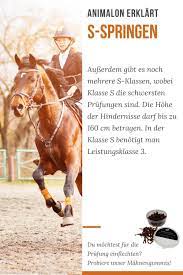 In einer stilspringprüfung wird die leistung des reiters mit einer wertnote bewertet. Animalon Erklart Was Ist Ein S Springen Pferdepflege Pferd Springreiten