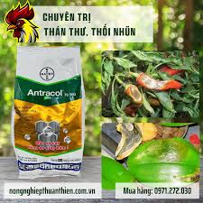 Antracol 70WG