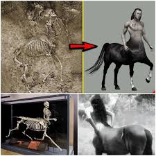 Greece's Centaur Skeleton: Where Myth and History Collide The Discovery  That Shook Archaeology https://ustoday24h.com/hong2/greeces-centaur-skeleton -where-myth-and-history-collide-s/