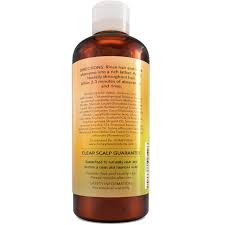 Volumizing Shampoo For Oily Hair Vitamin Shampoo With Lemon Oil Sage Natural Hair Care Thickening Balancing Clean Volumizing Shampoo Hair Vitamins Shampoo
