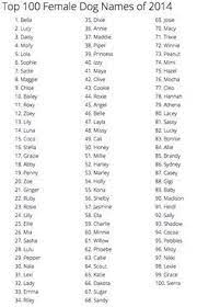 Start looking for the perfect name for your pet today. Cute Names For Pet Plants