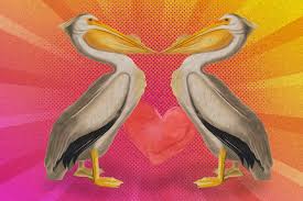 couple pelican print minimal abstract bird decor modern print pelican wall art printable wall deco cactus wall art succulents prints printable wall art