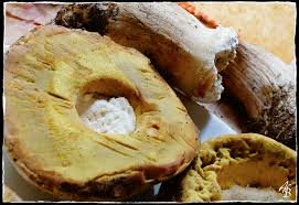 Voici le test de comestibilité de l'armée américaine sur les plantes sauvages ! Les Cepes Sans Perte Ou Comment Les Choisir Les Nettoyer Sortir Les Vers Et Les Cuire De Facon Optimum L Atelier De Boljo