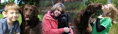 Maybe you would like to learn more about one of these? Puddleduck Retrievers Morrill Maine Labrador Retrievers