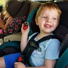 Ladybug re-hide still available, bee found