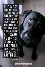 Our pet loss support group is facilitated by a licensed, clinical social worker. Dog Quote The Most Unconditional Love That You Can Encounter Is With A Dog Dog Dog Quotes Inspiration Dog Quotes Inspirational Dog Quotes Dog Quotes Funny