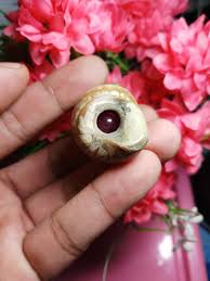 Kemudian, mustika ini sangat berbeda sekali dengan mustika merah delima yang sekarang menjadi. Mustika Merah Delima Pelet Foto Pusat Benda Bertuah