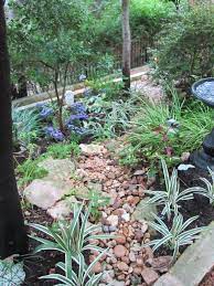 Texas is a massive chunk of land, with a variety of climates and landscapes. Shade Plants For Central Texas Lisa S Landscape Design