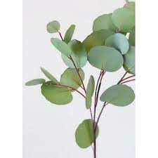 Artificial Silver Dollar Eucalyptus Leaves 26 5 Tall Walmart Com Walmart Com